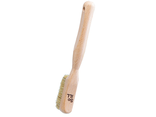 Bouldering Brush Beechwood / Soill