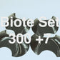 Biote Set 300 +7 / Rockcity