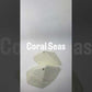Schist Coral Seas SCS1 / Decoy